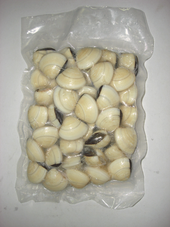 Cooked White Clam