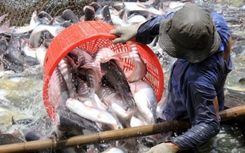 23 VN FIRMS ELIGIBLE TO EXPORT TRA CATFISH TO US
