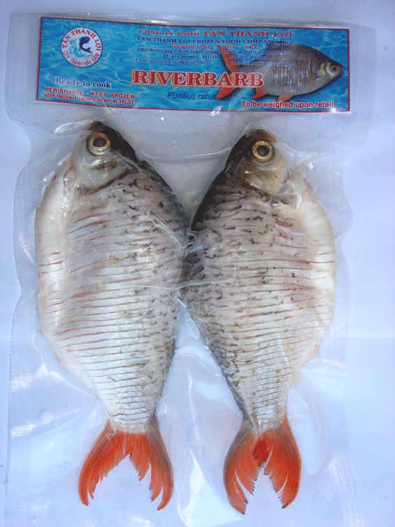 Marinated Riverbarb Fish